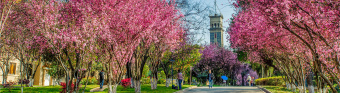 President of University of Tehran visited Yunnan University, P.R. of China