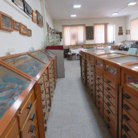 University of Tehran geological museum gets affiliated with UMAC