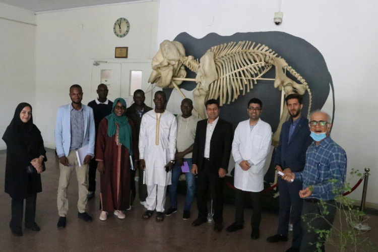 Scientific visit of veterinary experts of Mali country to Faculty of Veterinary Medicine of University of Tehran